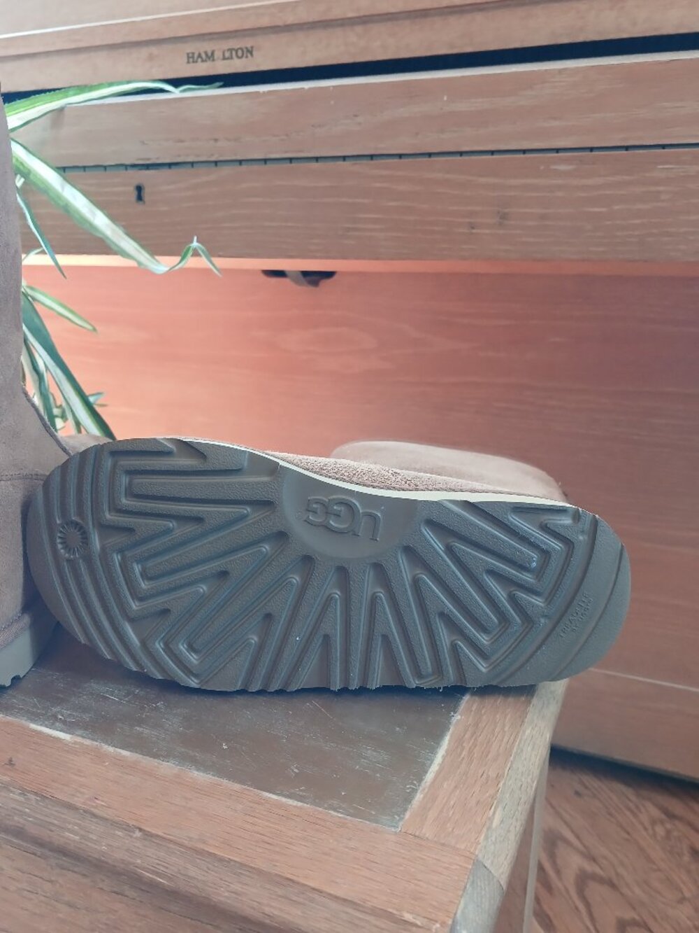 Ugg Ankle Boot - Picture 4 of 6